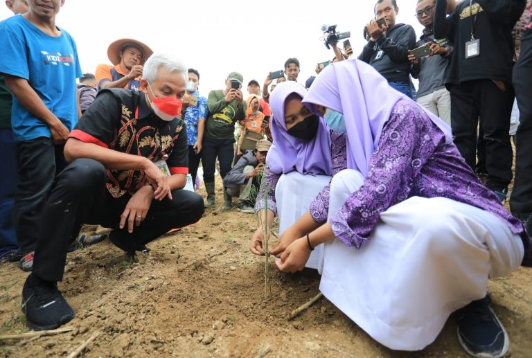 Lahan kritis di Bukit Serut, Desa Singonegoro, Kecamatan Jiken, Kabupaten Blora, ditanami seribu pohon.