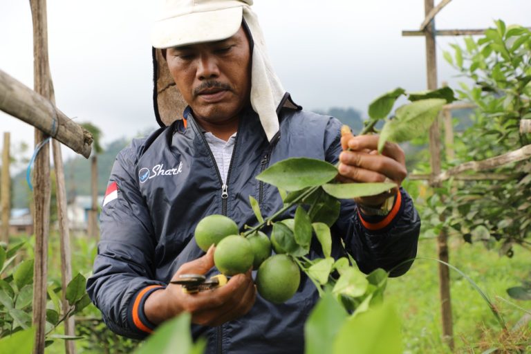 Ganjar Dukung Para Pemuda untuk Menjadi Petani