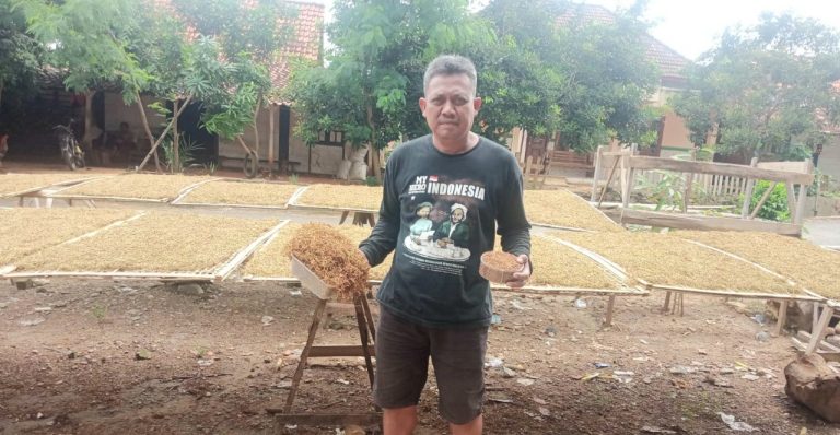 Tembakau Rembang Buktikan Kelasnya, Raih Dobel Penghargaan di Soropadan Agro Festival