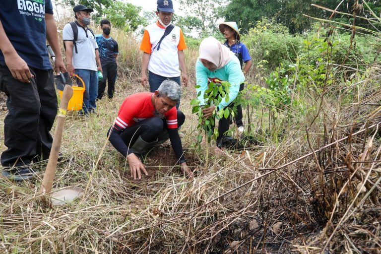 Selamatkan Lahan Kritis, Jateng Gencarkan Penanaman Pohon