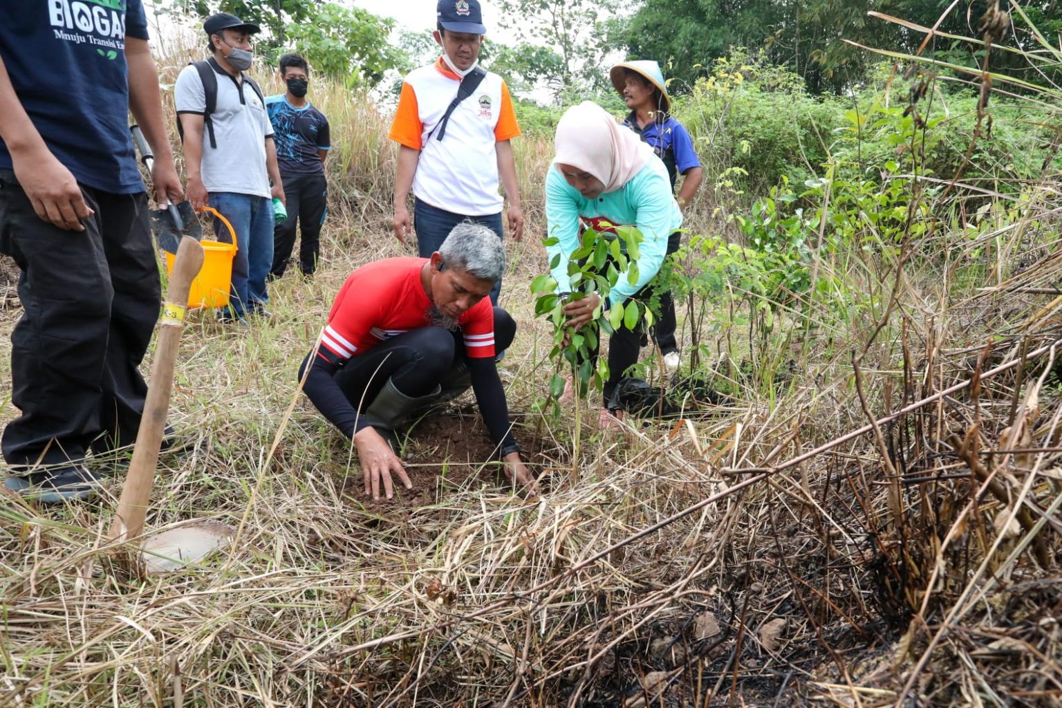 Selamatkan Lahan Kritis, Jateng Gencarkan Penanaman Pohon