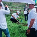 Ampelgading Diproyeksikan Jadi Sentra Alpukat Unggulan