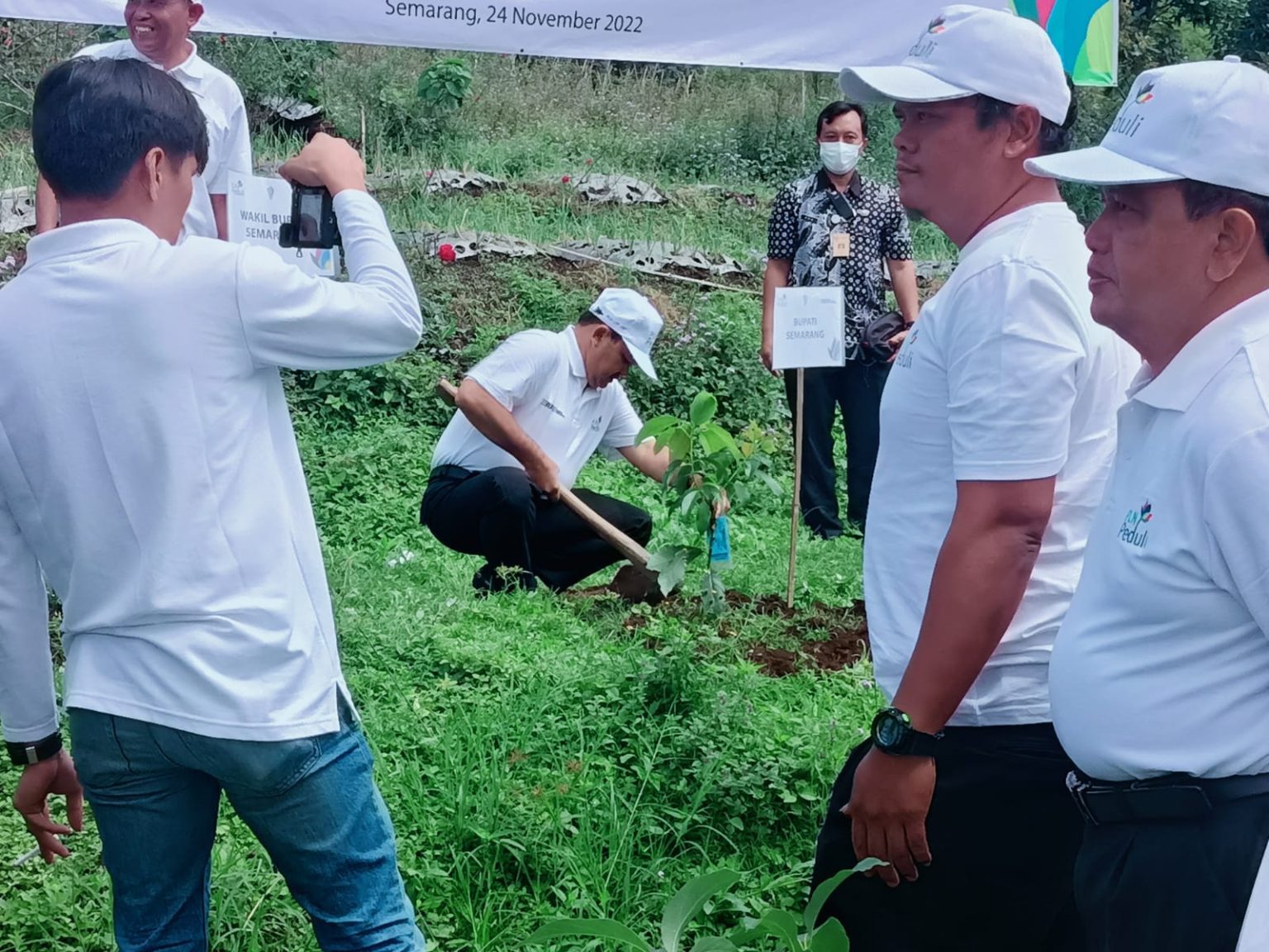 Ampelgading Diproyeksikan Jadi Sentra Alpukat Unggulan