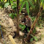 Bukan Korban Tabrak Lari, Polisi Evakuasi Korban Meninggal Dunia Usai Terjatuh di Geyer