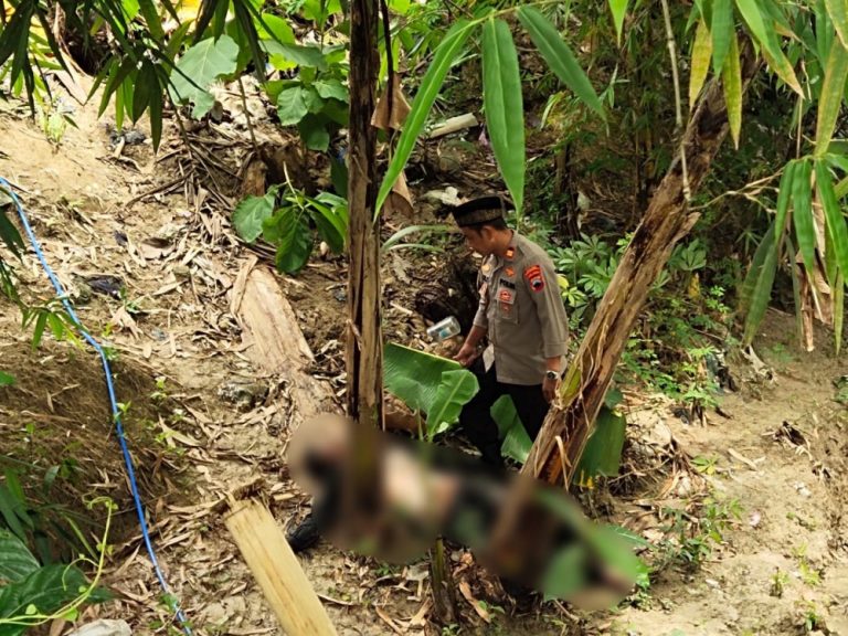 Bukan Korban Tabrak Lari, Polisi Evakuasi Korban Meninggal Dunia Usai Terjatuh di Geyer