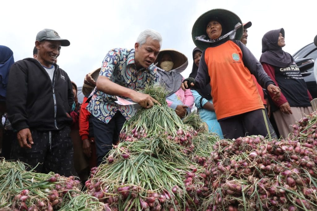 Lahan Makin Rusak, Ganjar Dorong Petani Bawang Brebes Beralih ke Organik