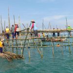 Jaga Ekosistem Laut, Dinlut Rembang Bangun 16 ‘Apartemen’ Rajungan