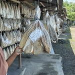 Hore, Ribuan Nelayan akan Terima BLT Dari Pemkab Rembang