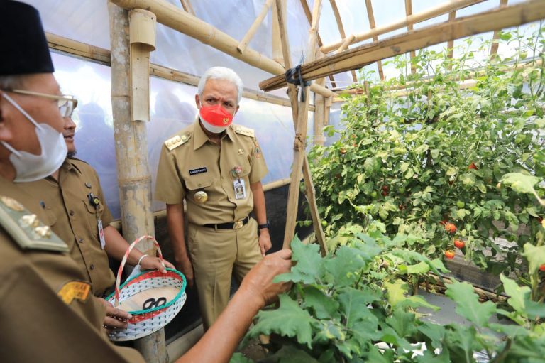 Ganjar Dorong Desa Gerakkan Lumbung Pangan dan Memanfaatkan Pekarangan