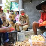 SUKOHARJO, KanalMuria – Gubernur Jawa Tengah Ganjar Pranowo berkesempatan melihat proses pengolahan tanaman porang, yang diolah kelompok petani porang di Kabupaten Sukoharjo.