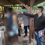 Kapolsek Tayu Ungkap Kronologi Pria Gantung Diri di Kandang Ayam Desa Bulungan