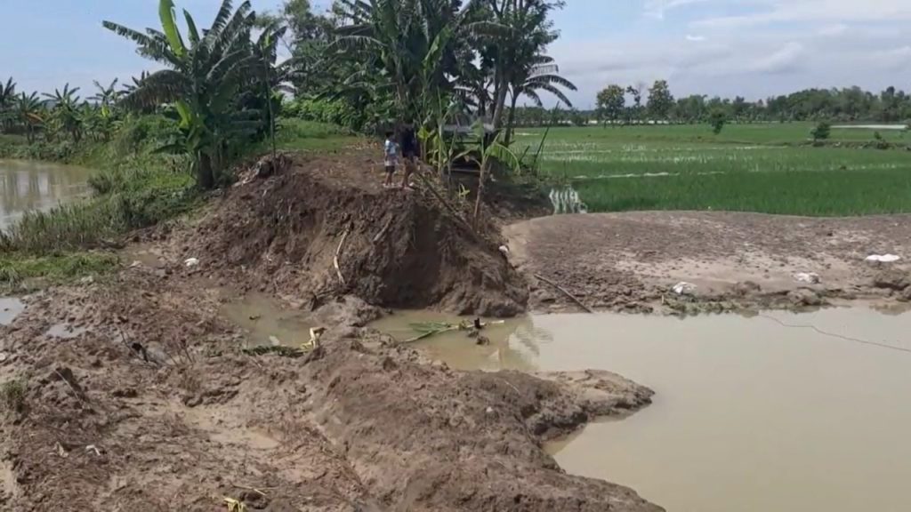 Tanggul Sungai Jajaran Baru Jebol, Genangi Sawah Desa Kemloko