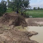 Tanggul Sungai Jajaran Baru Jebol, Genangi Sawah Desa Kemloko