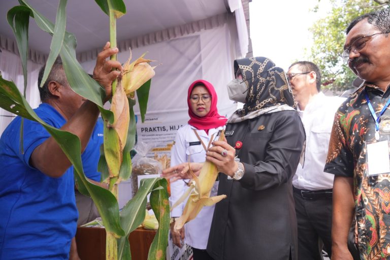 Sebagai Lumbung Beras Nasional, Bupati Klaten Dorong Petani Wujudkan Mandiri Pangan