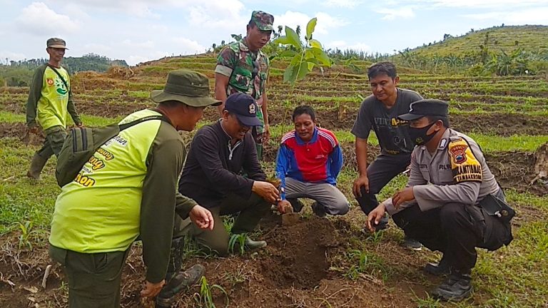 Warga Tambakromo Tanam 1.546 Pohon Alpukat di Kawasan Pegunungan Kendeng