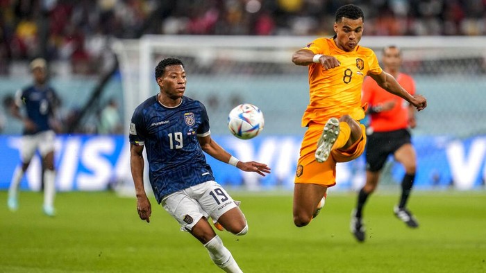 Hasil Belanda Vs Ekuador: Tuntas 1-1, Kedua Tim Berpeluang Lolos ke 16 Besar