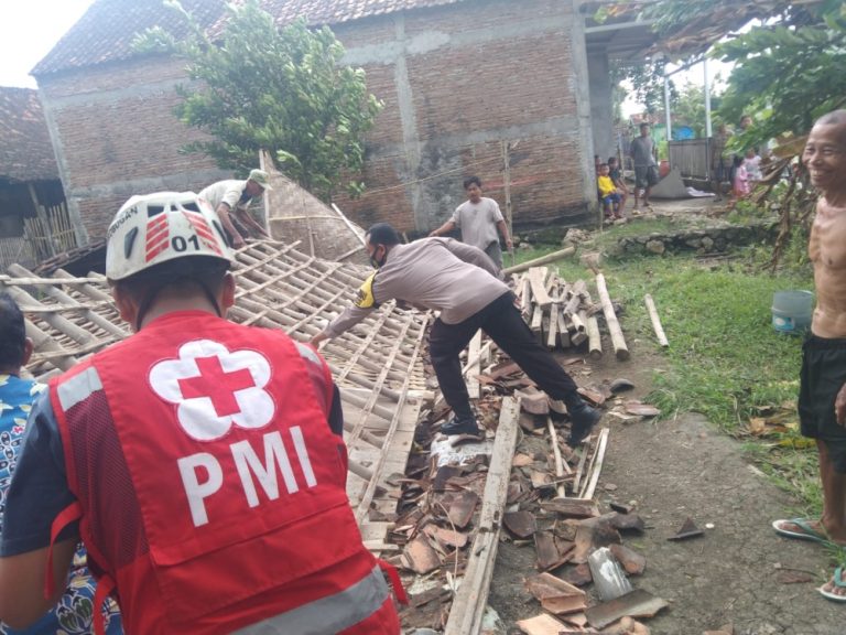 Sejumlah Wilayah di Grobogan Diterjang Angin Kencang, Pohon-pohon Bertumbangan