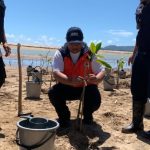 Tanam Mangrove: Mitigasi Bahaya Tsunami Kawasan Pacitan dengan Vegetasi