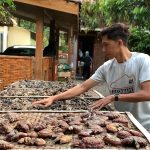 Kisah Petani Jamur di Borobudur, Bisa Bikin Wisata Edukasi Berkat Ganjar