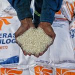 Bulog Yakin Harga Beras RI Turun Usai Dibanjiri Beras Impor
