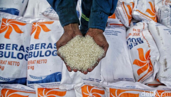 Bulog Yakin Harga Beras RI Turun Usai Dibanjiri Beras Impor
