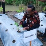 Pemkot Magelang Manfaatkan Dana Insentif Daerah untuk Urban Farming