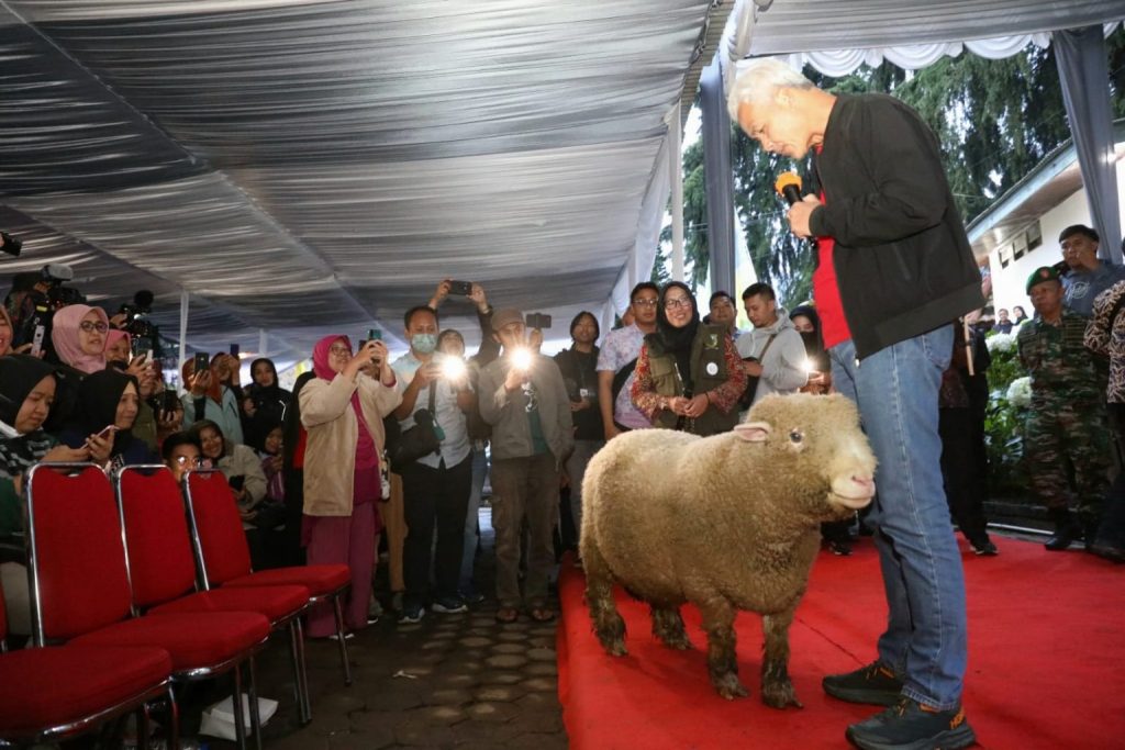 Kembangkan Domba Batur, Ganjar Temui Ratusan Petani Banjarnegara