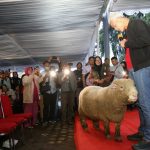 Kembangkan Domba Batur, Ganjar Temui Ratusan Petani Banjarnegara