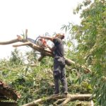 Tiga Rumah Warga Grobogan Rusak Berat Akibat Angin Kencang