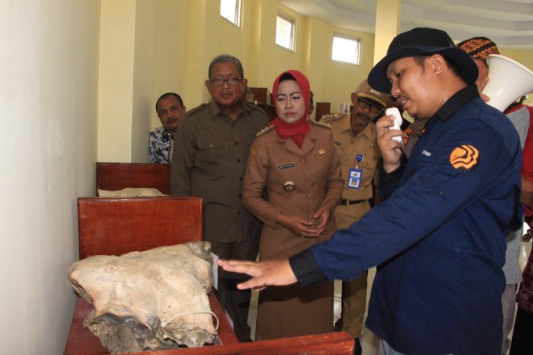 Amankan 1.030 Jenis Fosil Berusia Lebih dari 1,8 Juta Tahun, Pemkab Brebes Bangun Museum Buton