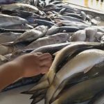 Genjot Konsumsi Ikan, Pemprov Jateng Akan Selenggarakan “Central Java Fish Market”