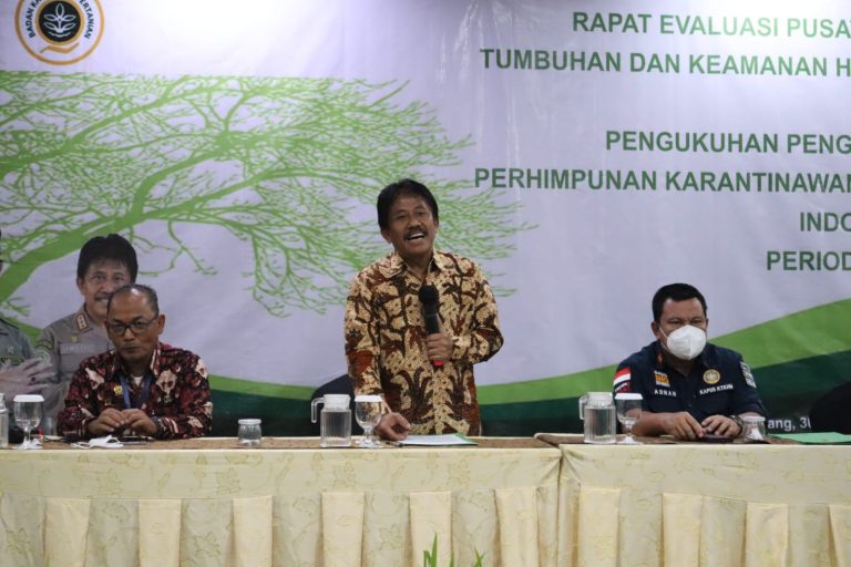 Kementan Berhasil Yakinkan Jepang Terima Buah Mangga Indonesia