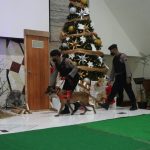 Sterilisasi Gereja, Polres Grobogan Gunakan Unit K-9