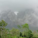 Guguran APG Semeru, Sebanyak 1.979 Jiwa Mengungsi di 11 Titik Pengungsian
