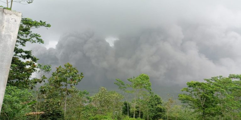 Guguran APG Semeru, Sebanyak 1.979 Jiwa Mengungsi di 11 Titik Pengungsian