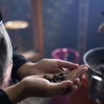 Kemendikbudristek Dorong Penyelenggara Kursus dan Pelatihan Buka Keterampilan Barista  