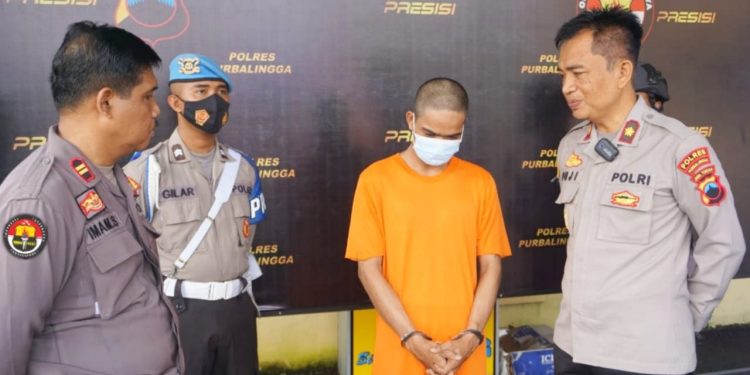 Pertontonkan Video Asusila, Warga Banyumas Diamankan Polres Purbalingga