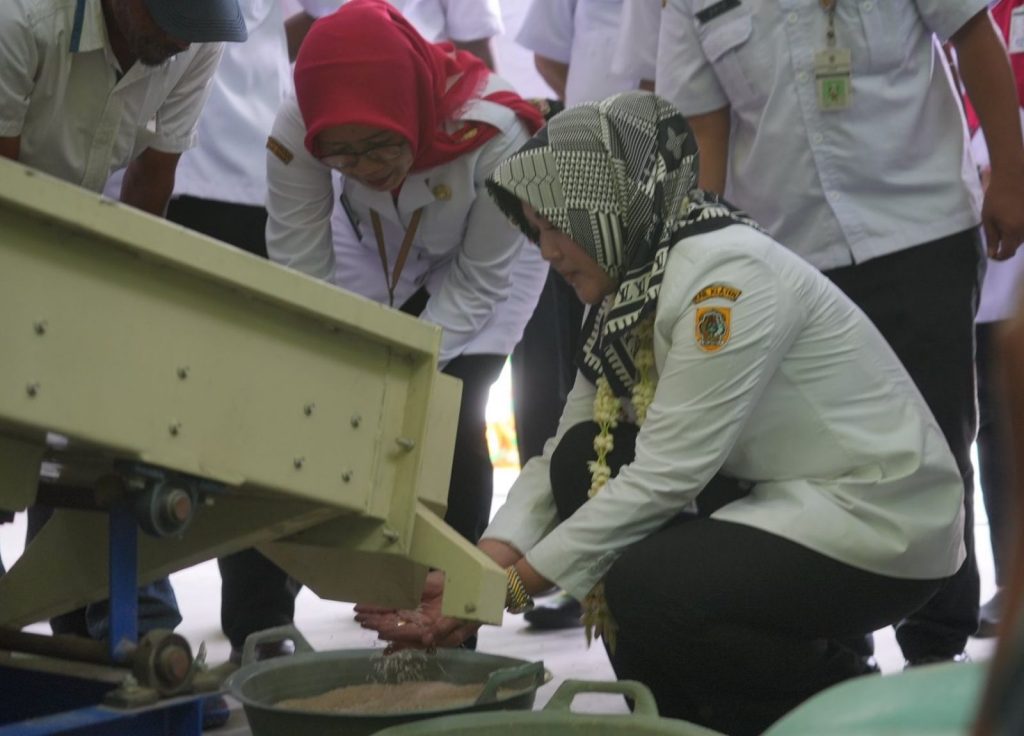 Tingkatkan Ketahanan Pangan, Demakijo Bangun Lumbung Pangan Masyarakat