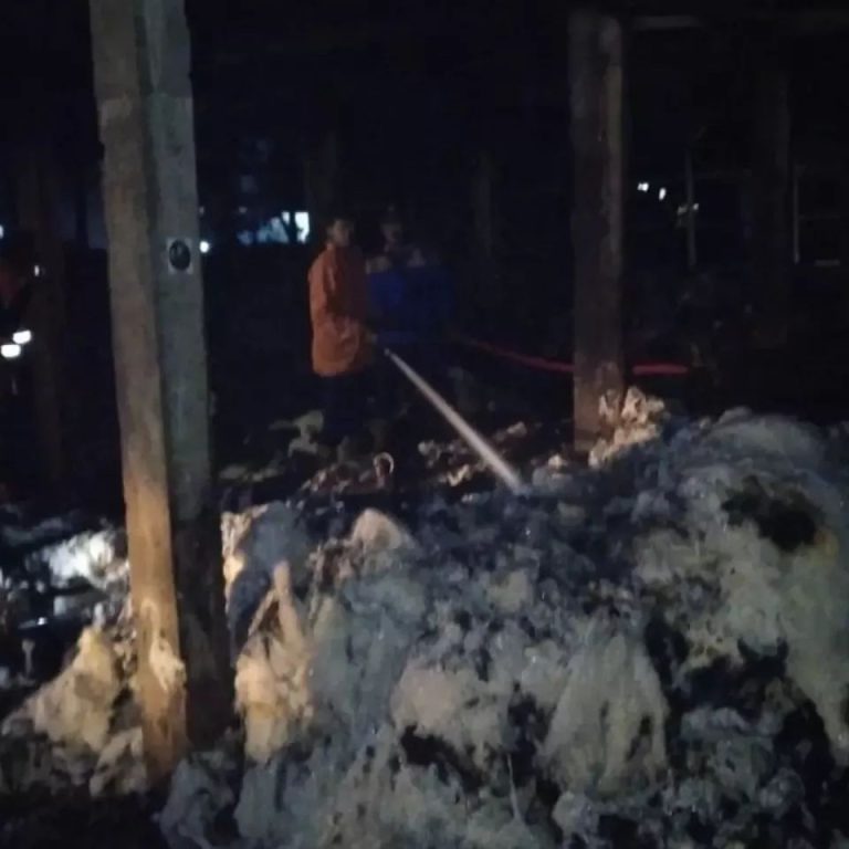 Tersambar Petir, Gudang Kapuk di Desa Piji Dilalap si Jago Merah