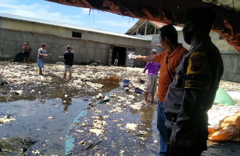 Gudang Kapuk di Desa Karaban Pati Terbakar, Kerugian Diperkirakan Capai Rp 80 Juta