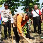 Ribuan Bibit Pohon Ditanam di Beberapa Titik di Pegunungan Kendeng yang Gundul