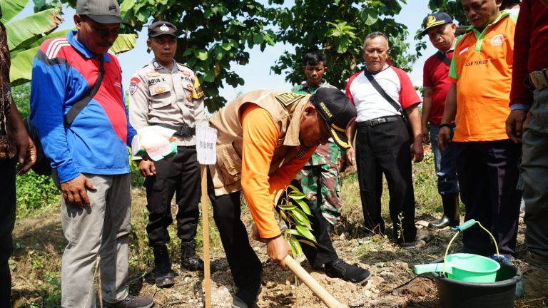 Ribuan Bibit Pohon Ditanam di Beberapa Titik di Pegunungan Kendeng yang Gundul