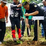 Akhir Tahun, Bupati Tanam Ribuan Bibit Pohon untuk Jaga Konservasi