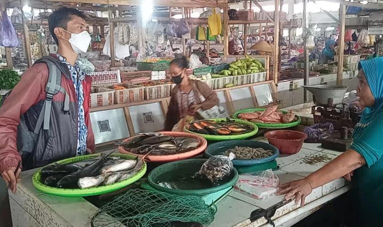 Dihantam Cuaca Buruk, Stok Ikan Laut di Pasaran Menipis, Digantikan Ikan Tambak