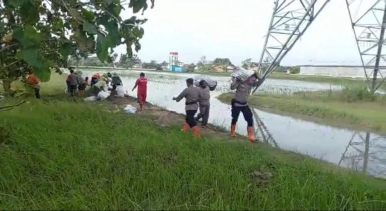 Antisipasi Luapan Sungai Lusi, Anggota Polres Grobogan Tinggikan Tanggul