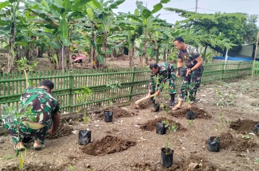 Anggota Koramil, Dukung Program Gerakan Tanam Cabai di Pekarangan