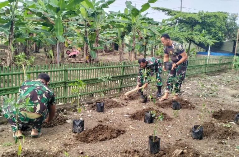Anggota Koramil, Dukung Program Gerakan Tanam Cabai di Pekarangan