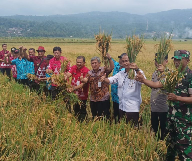 Tiga Bulan Ikuti Program Demplot, Petani Brongkol Untung Rp 21 Juta