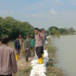 Polsek Godong dan Brati Cek Kondisi Tanggul Sungai Lusi