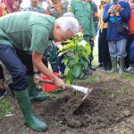 Selamatkan Lahan Kritis, Ganjar dan Warga Tanam 15 Ribu Pohon